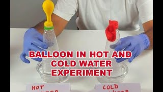 Balloon In Hot and Cold Water – Experiment [upl. by Hillard244]