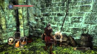 Dark Souls II  Saponita Blanca [upl. by Gudrun294]