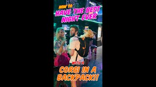 How to have the BEST NIGHT with a corgi in a backpack dogbackpack shorts [upl. by Bohon]