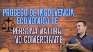 Proceso de INSOLVENCIA ECONOMICA para Personal NATURAL no Comerciante [upl. by Ellahcim]