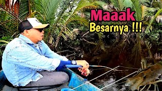 Pancing ditarik sesuatu yang besar  Gemetar seluruh tubuh saat melihat nya  mancing udang galah [upl. by Annodas]