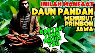 INILAH MANFAAT DAUN PANDAN  MENURUT PRIMBON JAWA [upl. by Vookles]