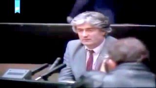 Nijaz Durakovic et Karadzic [upl. by Bernstein821]