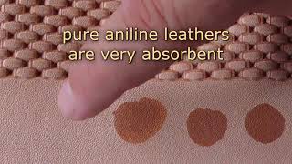 TYPES OF LEATHER  WATER SENSITIVITY  COLOURLOCK [upl. by Anola994]