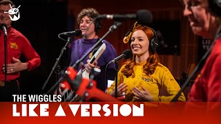 The Wiggles  Were All Fruit Salad live for Like A Version [upl. by Luz]