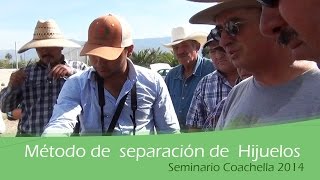 Método de separación de Hijuelos Seminario Coachella 2014 [upl. by Hanima435]