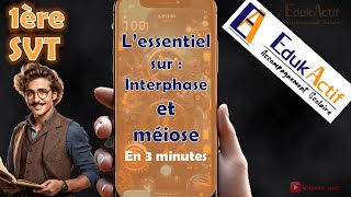 Lessentiel sur linterphase et la méiose en 3 minutesPremière spécialité SVT meiose méiose svt [upl. by Ainniz863]