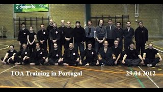 Kung Fu TOA Workshop in Portugal [upl. by Maurene]