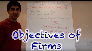 Y2IB 10 Objectives of Firms  Profit Max Rev Max Sales Max Satisficing [upl. by Retsevlis]