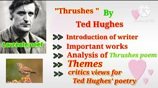 Introduction of writer analysis of Thrushesthemes critics views [upl. by Llenrev]