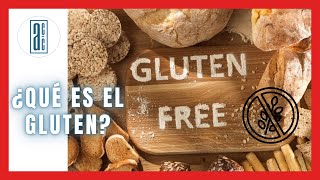 🍞¿ Qué es el GLUTEN  🍪  🤢¿ Por qué es MALO el GLUTEN  🙅‍♂️ 👨‍🔬Alimentos con Calidad ✅ [upl. by Werdna818]