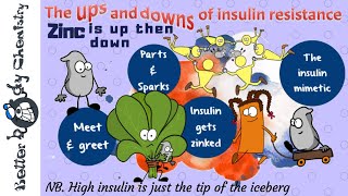 Zinc in insulin resistance [upl. by Carder]