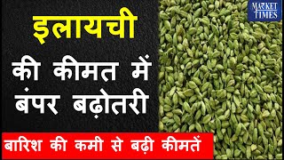 इलायची की कीमत में बंपर बढ़ोतरी  Bumper increase in the price of cardamom  cardamom ilaychi [upl. by Gianina]