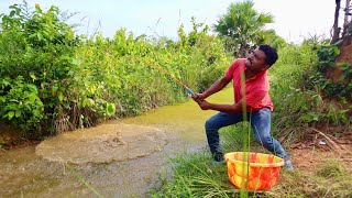 Fishing Video😱😲  Nice to see the incredible fishing scene of the village boy  Best hook fishing [upl. by Anihsit]