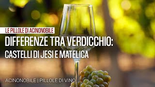 Differenze tra Verdicchio dei Castelli di Jesi e Verdicchio di Matelica [upl. by Wennerholn]