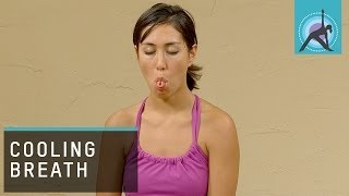 Cooling Breath  Sitali breath the Yogic way to Cool Down [upl. by Illa]