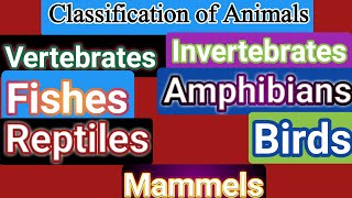 Vertebrate five classesClassification of Animals in Urdu for 5classVertebrate five classes in Urdu [upl. by Knut]