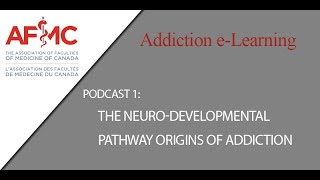 Podcast 1 The NeuroDevelopmental Pathway Origins of Addiction [upl. by Aronas]