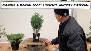 Making Bonsai from Difficult Nursery Material [upl. by Soirtimid801]