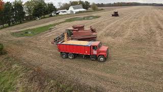 Still In Action  International Harvester 1460 amp CASE IH 1666  Soybeans  Harvest 2021 Chasing [upl. by Nikolaos866]