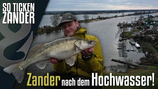 Zanderangeln nach dem Hochwasser So ticken Zander [upl. by Enner]