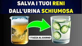 Le 10 Migliori Bevande Naturali per Fermare la Proteinuria Rapidamente e Guarire i Reni [upl. by Yelrahs332]