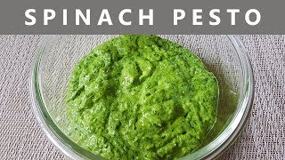 How To Make Quick and Easy Pesto sauce  Spinach Pesto  Dips and Spreads [upl. by Alathia]