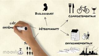 Cours déterminants de santé et de bien être social [upl. by Ikcaj]