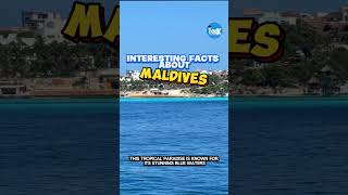 Interesting Facts About Maldives facts shortsviral [upl. by Nemra870]