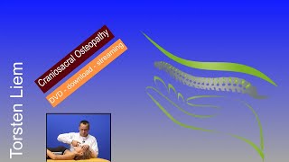 Craniosacral osteopathy english version clearly demonstrated [upl. by Notseh83]