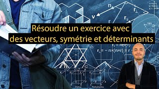 Seconde  Exercice  Vecteurs symétrie centrale et déterminants [upl. by Wolfson]