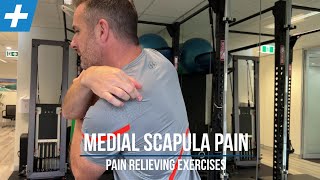 Medial Scapula Pain Relieving Exercises  Tim Keeley  Physio REHAB [upl. by Esille198]