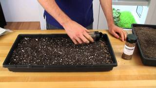 How To Plant in an Urban Cultivator [upl. by Irisa129]