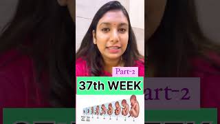 37th week of pregnancy में क्या करना चाइए  ✅🤰 [upl. by Htiffirg]