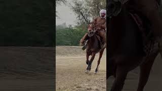 2nd Class Pacer Mare Ajwa Rider Ustad Kichu Khan horseriding allpakistantangahorserace [upl. by May]