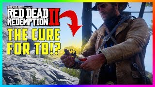 This SECRET Mission Gets Arthur A Cure For Tuberculosis amp The BEST Item In Red Dead Redemption 2 [upl. by Mcguire]