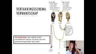 Samenvatting Ordening 1MHV Biologie Voor Jou MAX [upl. by Jerry]