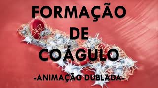 FORMAÇÃO DO COÁGULO SANGUÍNEO  Fatores de coagulação e plaquetas Animação Dublada [upl. by Elbert]