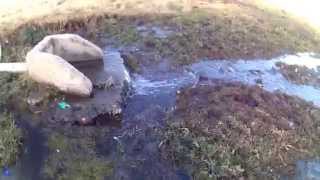 Vaal Dam Pollution Sewerage Oranjeville 20150718 [upl. by Osyth420]