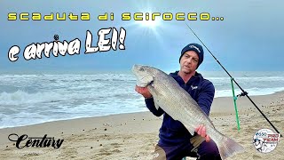 Super OMBRINA con mare in scaduta di sciroccola magia del SURFCASTING [upl. by Tatia163]