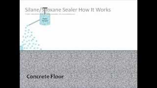 How Does a SilaneSiloxane Concrete Sealer Work Video  SealGreencom  8009973873 [upl. by Kerge]