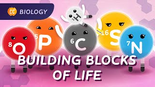 Carbon amp Biological Molecules What is Life Made Of Crash Course Biology 20 [upl. by Calvert111]