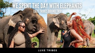 Phuket elephant Sanctuary with your fave creators  Luxe Tribes Brand Trip [upl. by Ihsoyim]