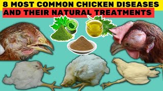 8 MOST COMMON DISEASES OF CHICKEN amp THEIR NATURAL TREATMENTS  100 Recovery by using these TREATS [upl. by Koziarz]