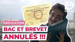 LE BAC ET LE BREVET ANNULÉS 😱 JE T’EXPLIQUE TOUT [upl. by Yhtur]