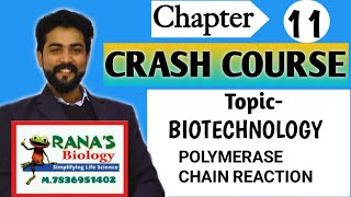 CLASS XII  BIOLOGY  IMPORTANT TOPICS  BOARDS  BIOTECHNOLOGY  POLYMERASE CHAIN REACTION [upl. by Bury]