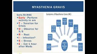 Myasthenia Gravis [upl. by Gean804]