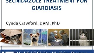 Vet to Vet Secnidazole for Giardiasis  conference recording [upl. by Enomys]