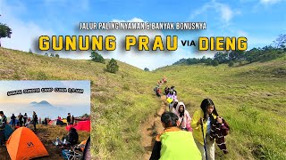 Pendakian Gunung Prau via Dieng  Jalur Paling Bersahabat Untuk Pendaki Pemula [upl. by Odrarebe351]