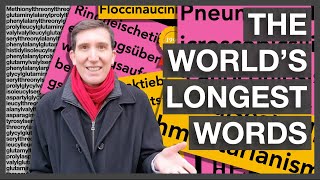 The Worlds Longest Words English amp Beyond [upl. by Boles497]